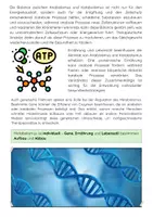 Vorschau - Arbeitsblätter - Metabolismus, Anabolismus, Katabolismus einfach erklärt - Seite 3