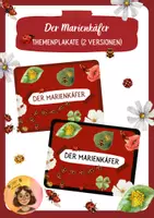 Vorschau - Bildkarten - Marienkäfer - Themenplakate in 2 Versionen - Deckblatt