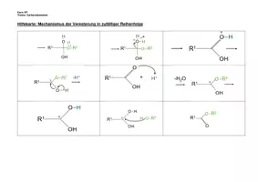 Vorschau - Arbeitsblätter - Materialpaket: Synthese und Verseifung von Estern (bearbeitbar) - Deckblatt