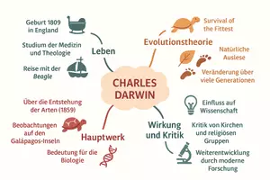 Vorschau - Arbeitsblätter - Lernposter + Arbeitsblatt "Charles Darwin" + Onlineübung & MP3 + Mindmap + Infografik - Seite 3