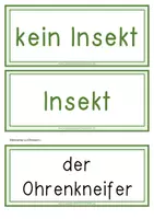 Vorschau - Anderer Materialtyp - Insekten – Sortieren (21 Tafelbildkarten) - Seite 2