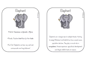 Vorschau - Text - Fact Cards zur Unterrichtreihe "Nature and Environment" - Seite 1
