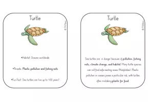 Vorschau - Text - Fact Cards zur Unterrichtreihe "Nature and Environment" - Seite 2