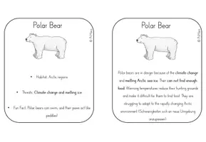 Vorschau - Text - Fact Cards zur Unterrichtreihe "Nature and Environment" - Seite 3