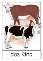 Vorschau - Poster - Differenziertes Tafelmaterial - Bauernhoftiere (DAZ-Variante, Silbenschrift) - Seite 1