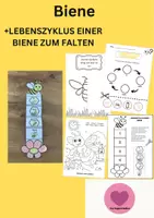 Vorschau - Arbeitsblätter - Biene Lebenszyklus - Interaktives Faltbuch & Arbeitsblätter - Deckblatt
