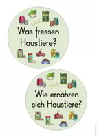 Vorschau - Arbeitsblätter - Haustiere: Futter & Nahrung (2./3. Klasse) - Seite 2