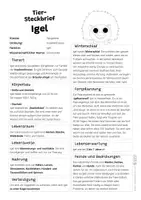 Vorschau - Arbeitsblätter - Igel Komplettpaket - mit Lesetext, Steckbrief, Lückentext, Suchsel, Quiz und Ausmalbildern - Seite 1