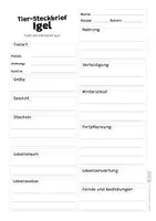 Vorschau - Arbeitsblätter - Igel Komplettpaket - mit Lesetext, Steckbrief, Lückentext, Suchsel, Quiz und Ausmalbildern - Seite 2