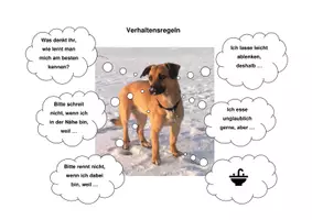 Vorschau - Arbeitsblätter - Verhaltensregeln im Umgang mit dem Schulhund - Deckblatt