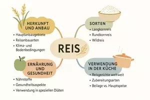 Vorschau - Arbeitsblätter - Lernposter + Arbeitsblätter zum Thema "Reis" + Lösung & MP3 + Mindmap + Infografik - Seite 3