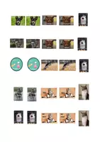 Vorschau - Anderer Materialtyp - Sticker-Paket_Coole Korrektur-Sticker-Bundle - Seite 2