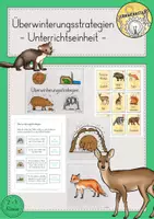 Vorschau - Stundenentwürfe - Überwinterungsstrategien Tiere Winter Stundenentwurf - Deckblatt