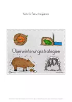 Vorschau - Stundenentwürfe - Überwinterungsstrategien Tiere Winter Stundenentwurf - Seite 2