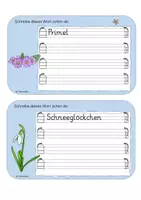 Vorschau - Arbeitsblätter - Abschreibkartei "Frühblüher" - handgezeichnet - Seite 2
