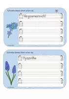 Vorschau - Arbeitsblätter - Abschreibkartei "Frühblüher" - handgezeichnet - Seite 3