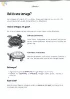 Vista previa - Unidades / Secuencias / Situaciones de Aprendizaje - Descobrint les tortugues: Ciències i consciència ecològica per a primària o ESO - página 1