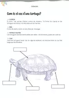 Vista previa - Unidades / Secuencias / Situaciones de Aprendizaje - Descobrint les tortugues: Ciències i consciència ecològica per a primària o ESO - página 2