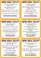Vorschau - Bildkarten - Was bin ich? – 18 Pflanzen-Rätsel-Karten GS - Seite 1