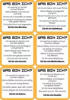 Vorschau - Bildkarten - Was bin ich? – 18 Pflanzen-Rätsel-Karten GS - Seite 3