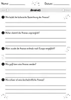 Vorschau - Arbeitsblätter - AB Ananas | Arbeitsblätter mit Fragen + Lösungen - Seite 1