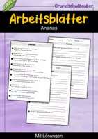 Vorschau - Arbeitsblätter - AB Ananas | Arbeitsblätter mit Fragen + Lösungen - Deckblatt