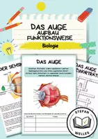 Vorschau - Arbeitsblätter - Das Auge - Sinnesorgan - Kompakt - Aufbau und Funktionsweise + Experimente - Deckblatt