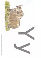 Vorschau - Bildkarten - Deutsch mit Spaß: 39 Tier-Ankerbild Yy - Deckblatt