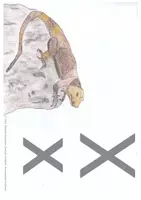 Vorschau - Bildkarten - Deutsch mit Spaß: 40 Tier-Ankerbild Xx - Deckblatt