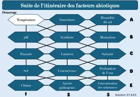 Aperçu - Feuilles d'exercices - Labyrinthe : facteurs abiotiques - Page 1