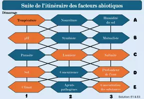 Aperçu - Feuilles d'exercices - Labyrinthe : facteurs abiotiques - Page 2