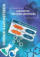Aperçu - Feuilles d'exercices - Labyrinthe : facteurs abiotiques - Page de couverture