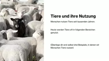 Vorschau - Stundenentwürfe - Tierisch nützlich - aber auch gerecht? - Seite 3