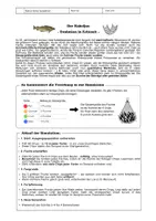 Vorschau - Stundenentwürfe - Geniales Simulationsspiel Evolution - Seite 2