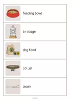 Vista previa - Juegos / Gamificación - Pet Shop / Tienda de animales: Running Dictation (Dictado en movimiento para la clase de inglés) - página 2