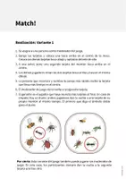 Vista previa - Juegos / Gamificación - Insects / Insectos: Match! (Juego para la clase de inglés) - página 2