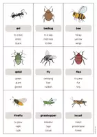 Vista previa - Juegos / Gamificación - Insects / Insectos: Don’t say it! (Juego para la clase de inglés) - página 2
