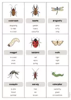 Vista previa - Juegos / Gamificación - Insects / Insectos: Don’t say it! (Juego para la clase de inglés) - página 3