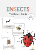 Vista previa - Manualidades / Dibujos para colorear - Insects / Insectos: Vocabulary Cards (Tarjetas de palabras) - Portada