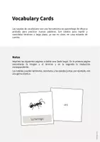 Vista previa - Manualidades / Dibujos para colorear - Insects / Insectos: Vocabulary Cards (Tarjetas de palabras) - página 1