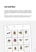Vista previa - Manualidades / Dibujos para colorear - Insects / Insectos: Cut and Glue (Hoja de trabajo de inglés) - página 1