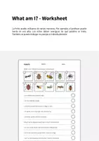 Vista previa - Hojas de trabajo - Insects / Insectos: What am I? - Worksheet (Hoja de trabajo de inglés) - página 1