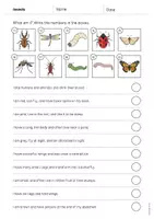 Vista previa - Hojas de trabajo - Insects / Insectos: What am I? - Worksheet (Hoja de trabajo de inglés) - página 3
