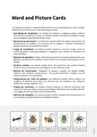 Vista previa - Decoración del aula - Insects / Insectos: Word and Picture Cards (Tarjetas con imágenes para la clase de inglés) - página 1