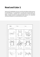 Vista previa - Hojas de trabajo - READ AND COLOR: Paquete XXL para la clase de inglés - página 2