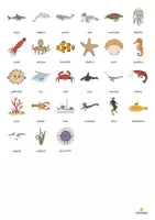 Vista previa - Juegos / Gamificación - In the Sea / En el mar: Vocabulary Game (Juego para la clase de inglés) - página 3
