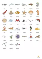 Vista previa - Juegos / Gamificación - In the Sea / En el mar: Vocabulary Fitness (Fitness de vocabulario) - página 2