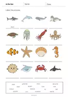 Vista previa - Hojas de trabajo - In the Sea / En el mar: Vocabulary Worksheet 1 (Hoja de trabajo de inglés) - página 3