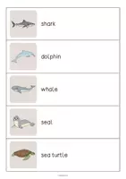 Vista previa - Juegos / Gamificación - In the Sea / En el mar: Running Dictation (Dictado en movimiento para la clase de inglés) - página 2