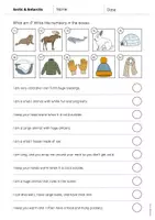 Vista previa - Hojas de trabajo - Arctic & Antarctic / Ártico y Antártida: What am I? - Worksheet (Hoja de trabajo de inglés) - página 3